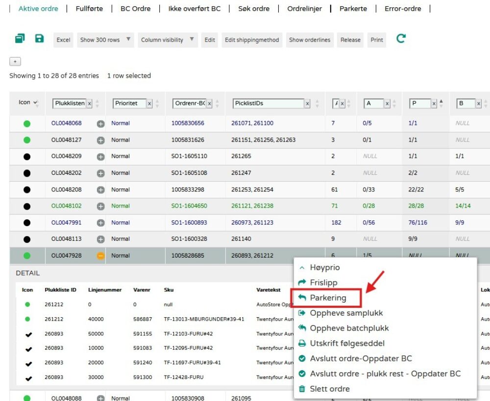 Auto Store Parkering